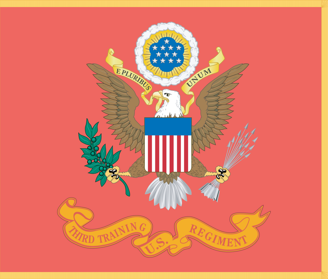 Rectangle Flags - Army - Regimental Colors - Artillery Branch - Flag w Fringe - Third Training US Regiment